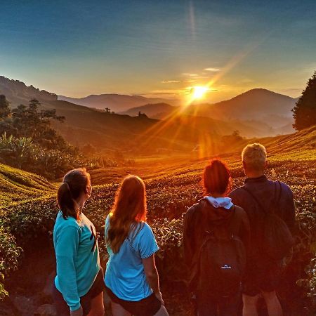 C1 Backpackers Hostel Cameron Highlands Buitenkant foto